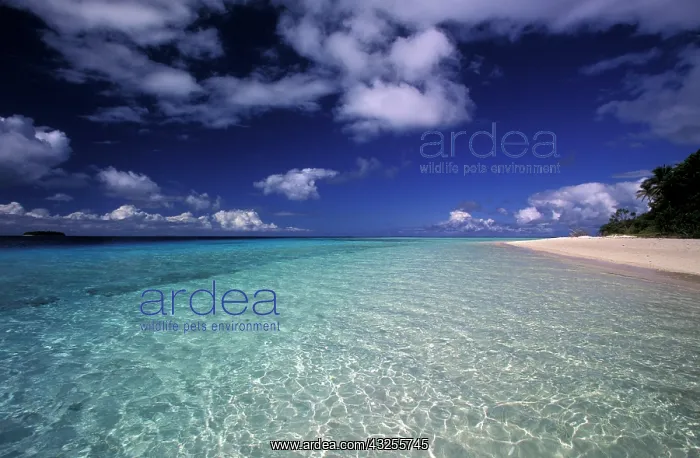 : Island landscape, Vava'u Island, Tonga : Island landscape, Vava'u Island, Tonga