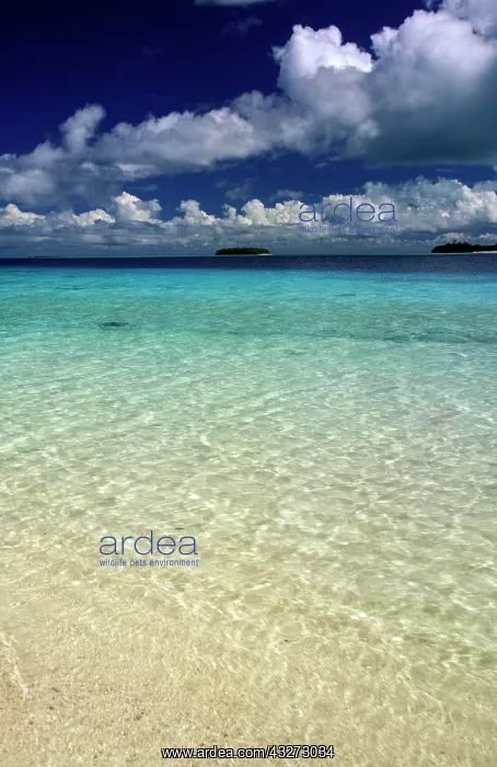 : Island landscape, Vava'u Island, Tonga : Island landscape, Vava'u Island, Tonga