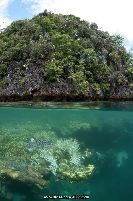  : Island and reef