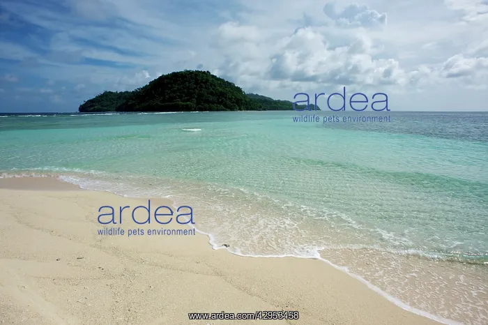 : Island of Run, Banda Islands - view from Nailaka : Island of Run, Banda Islands - view from Nailaka