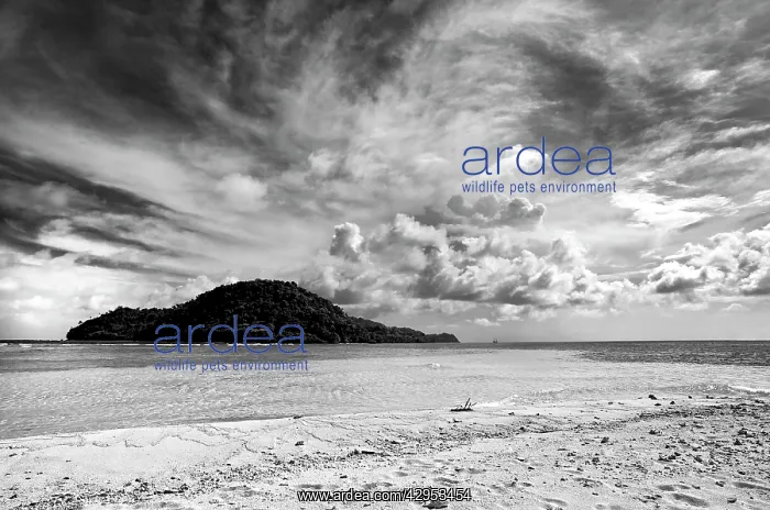 : Island of Run - view from Nailaka : Island of Run - view from Nailaka