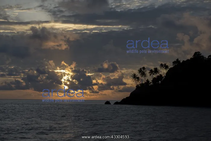 : Island silhouette - at sunset - Raja Ampat, West : Island silhouette - at sunset - Raja Ampat, West