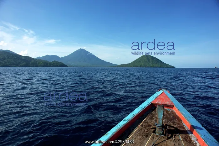 : Island of Tedore - from the sea : Island of Tedore - from the sea