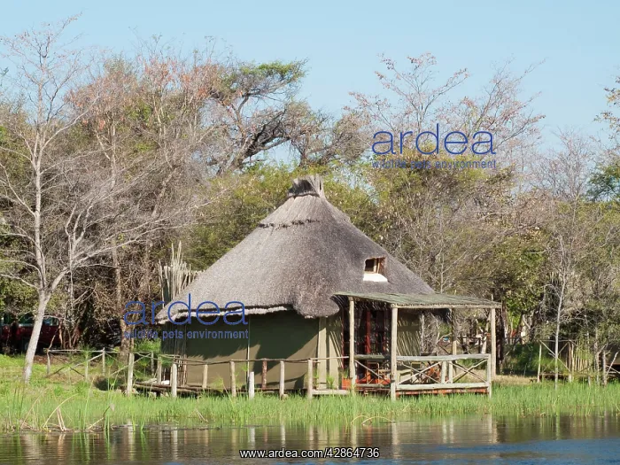 : Island Tents Accomodation - built on poles right : Island Tents Accomodation - built on poles right
