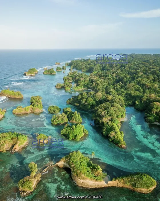 : Island world, mangrove system, turquoise water : Island world, mangrove system, turquoise water