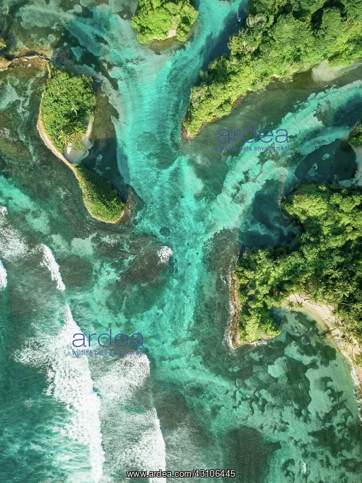 : Island world, mangrove system, turquoise water : Island world, mangrove system, turquoise water