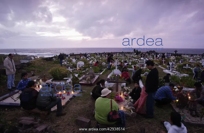 : Islanders in the cemetery (on All SaintsI Day).at : Islanders in the cemetery (on All SaintsI Day).at