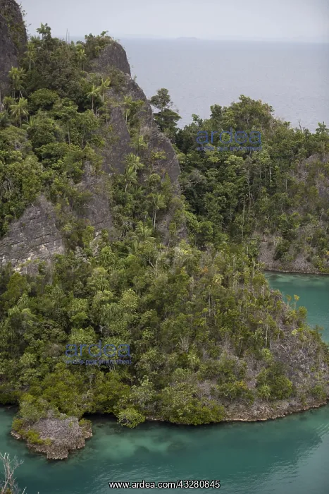 : Islands - Limestone pinnacles - Viewpoint, Penemu : Islands - Limestone pinnacles - Viewpoint, Penemu