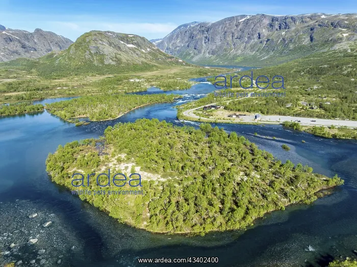 : Islands in river Sjoa, famous Besseggen ridge in : Islands in river Sjoa, famous Besseggen ridge in