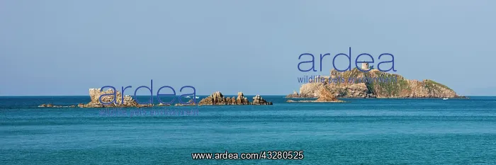 : Islands of Scoglio and Isolotto dello Sparviero : Islands of Scoglio and Isolotto dello Sparviero