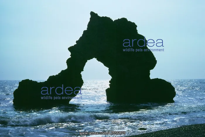  : Isle of Wight, UK - Chalk Arch Freshwater Bay