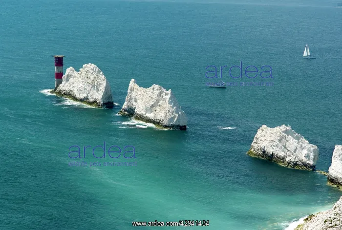 : Isle of Wight - A view of The Needles from a location : Isle of Wight - A view of The Needles from a location