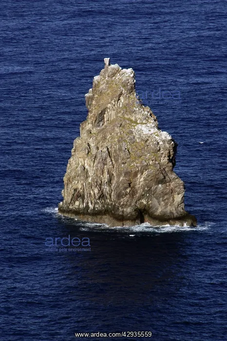 : Islet Kao Kao, to which Birdman candidates swam : Islet Kao Kao, to which Birdman candidates swam