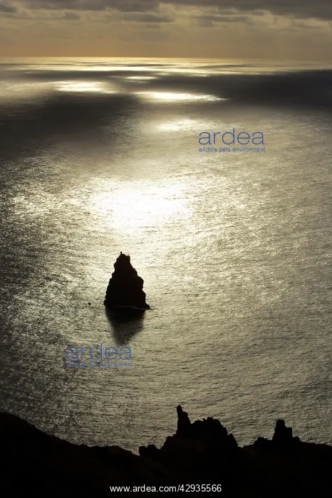 : Islet Kao Kao, to which Birdman candidates swam : Islet Kao Kao, to which Birdman candidates swam