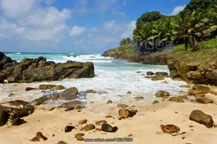 : Isolated beach on Fregate Island : Isolated beach on Fregate Island