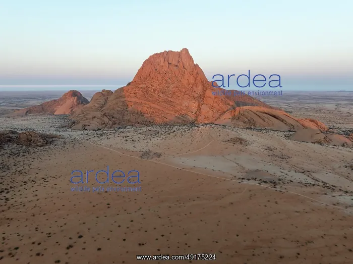 : The isolated Spitzkoppe mountain (1728 m) majestically rises above the surrounding desert plains : The isolated Spitzkoppe mountain (1728 m) majestically rises above the surrounding desert plains