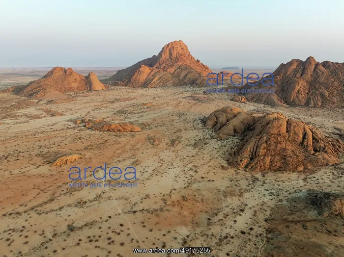 : The isolated Spitzkoppe mountain (1728 m) majestically rises above the surrounding desert plains : The isolated Spitzkoppe mountain (1728 m) majestically rises above the surrounding desert plains