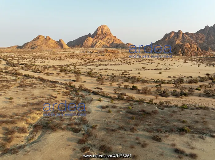 : The isolated Spitzkoppe mountain (1728 m) majestically rises above the surrounding desert plains : The isolated Spitzkoppe mountain (1728 m) majestically rises above the surrounding desert plains
