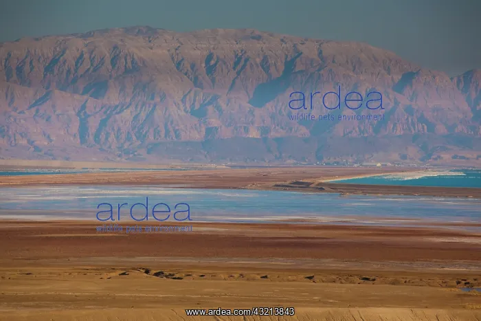 : Israel, Dead Sea, Ein Bokek, desert landscape : Israel, Dead Sea, Ein Bokek, desert landscape