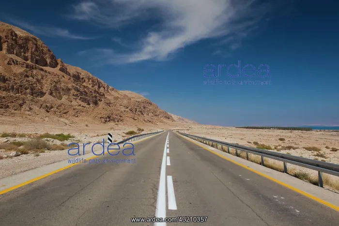 : Israel, Dead Sea, Metzoke Dragot, Dead Sea : Israel, Dead Sea, Metzoke Dragot, Dead Sea