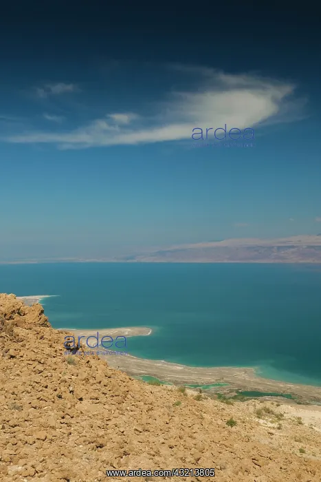 : Israel, Dead Sea, Metzoke Dragot, elevated : Israel, Dead Sea, Metzoke Dragot, elevated