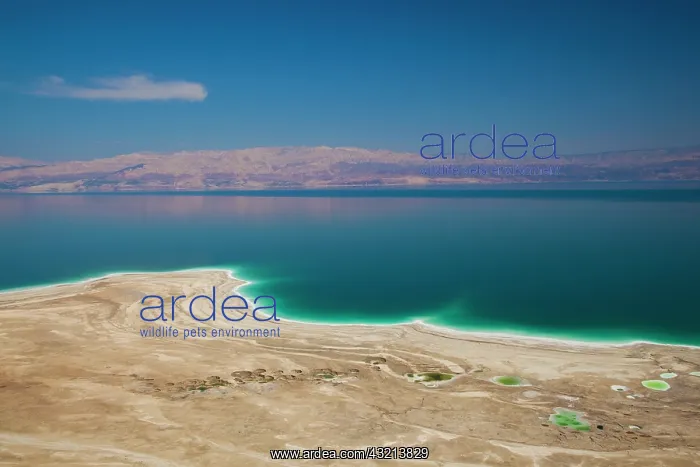 : Israel, Dead Sea, Metzoke Dragot, elevated : Israel, Dead Sea, Metzoke Dragot, elevated