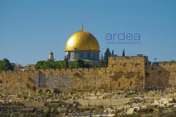 : Israel, Jerusalem, Dome of the Rock : Israel, Jerusalem, Dome of the Rock