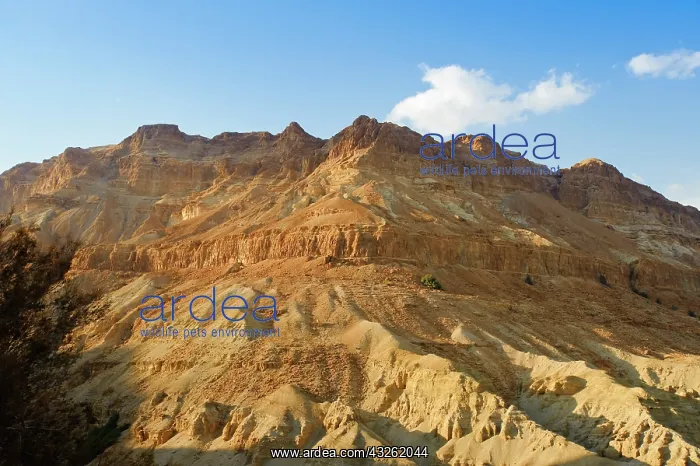 : Israel. Judean Desert scenery : Israel. Judean Desert scenery