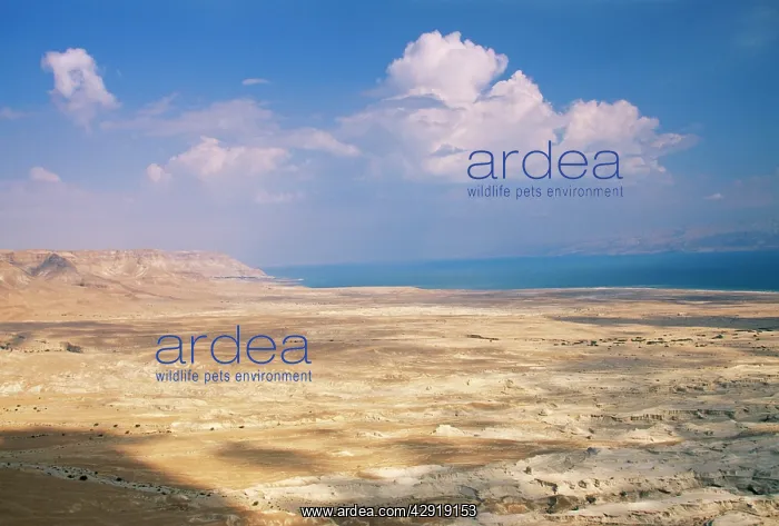 : ISRAEL - The Judean desert, seen from the top of : ISRAEL - The Judean desert, seen from the top of