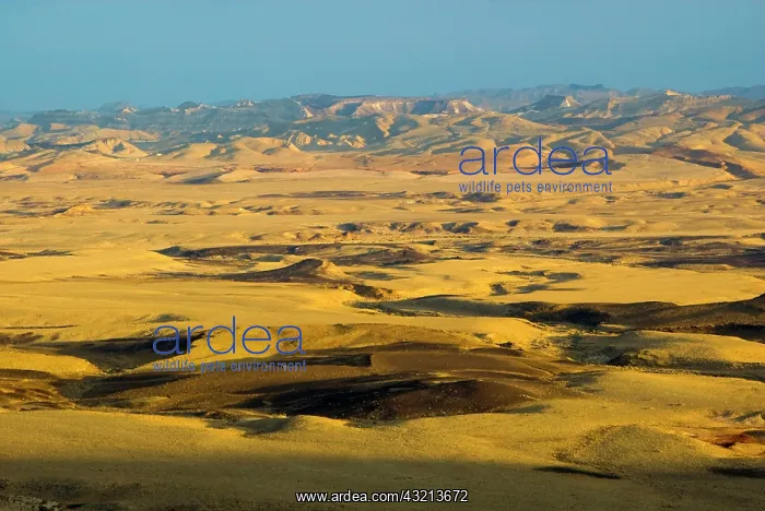: Israel, Negev, Mitzpe Ramon crater : Israel, Negev, Mitzpe Ramon crater