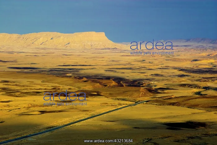 : Israel, Negev, Mitzpe Ramon crater : Israel, Negev, Mitzpe Ramon crater