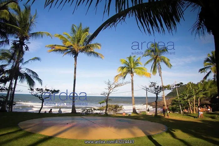 : Itacare, Brazil. The Bahian town of Itacare : Itacare, Brazil. The Bahian town of Itacare