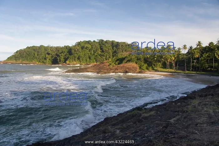 : Itacare, Brazil. The Bahian town of Itacare : Itacare, Brazil. The Bahian town of Itacare