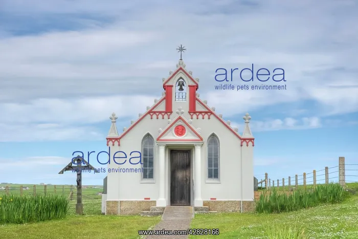  : Italian Chapel