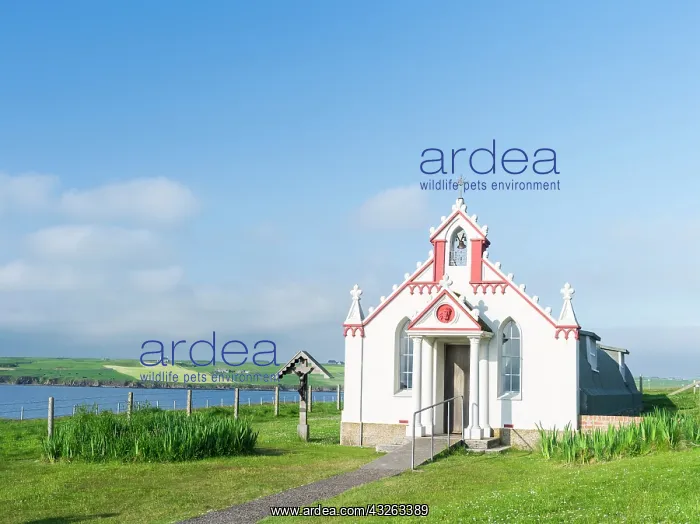 : Italian Chapel on Lamb Holm, built by POWs : Italian Chapel on Lamb Holm, built by POWs