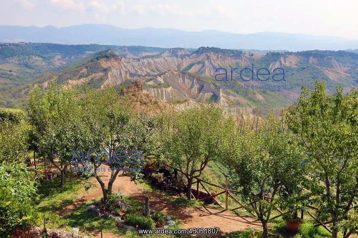 : Italian countryside and trees seen from the hilltop : Italian countryside and trees seen from the hilltop