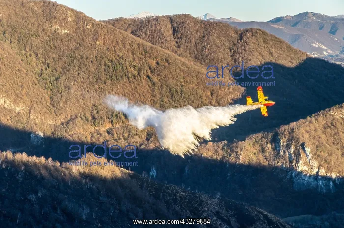 : Italian fire-fighting aircraft type Canadair CL-415 : Italian fire-fighting aircraft type Canadair CL-415