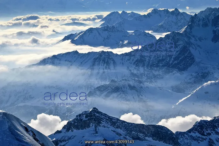 : Italian and French Alps, view from Klein Matterhorn : Italian and French Alps, view from Klein Matterhorn