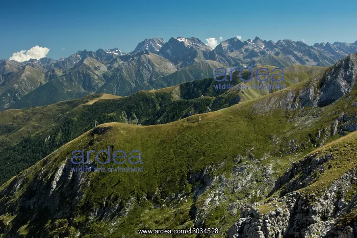 : Italian Maritime Alps high limestone peaks and valleys : Italian Maritime Alps high limestone peaks and valleys