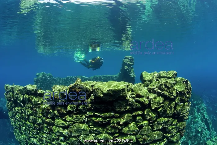 : Italy, Abruzzo, Capestrano, Capo d'Acqua lake scuba diver ex : Italy, Abruzzo, Capestrano, Capo d'Acqua lake scuba diver ex