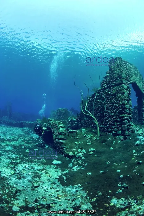 : Italy, Abruzzo, Capestrano, Capo d'Acqua lake scuba diver ex : Italy, Abruzzo, Capestrano, Capo d'Acqua lake scuba diver ex