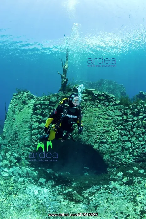 : Italy, Abruzzo, Capestrano, Capo d'Acqua lake scuba diver ex : Italy, Abruzzo, Capestrano, Capo d'Acqua lake scuba diver ex