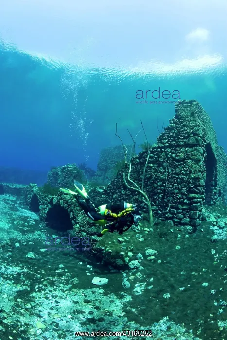 : Italy, Abruzzo, Capestrano, Capo d'Acqua lake scuba diver ex : Italy, Abruzzo, Capestrano, Capo d'Acqua lake scuba diver ex