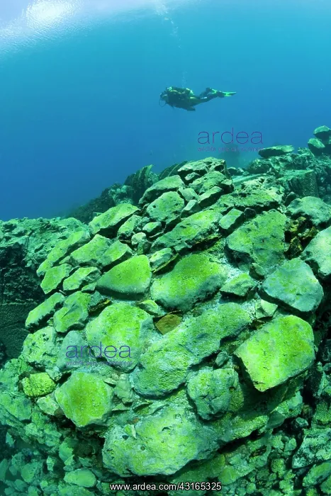 : Italy, Abruzzo, Capestrano, Capo d'Acqua lake scuba diver ex : Italy, Abruzzo, Capestrano, Capo d'Acqua lake scuba diver ex