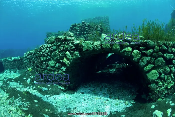 : Italy, Abruzzo, Capestrano, Capo d'Acqua lake the walls of t : Italy, Abruzzo, Capestrano, Capo d'Acqua lake the walls of t