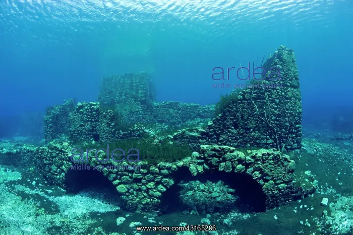  : Italy, Abruzzo, Capestrano, Capo d'Acqua lake the walls of t