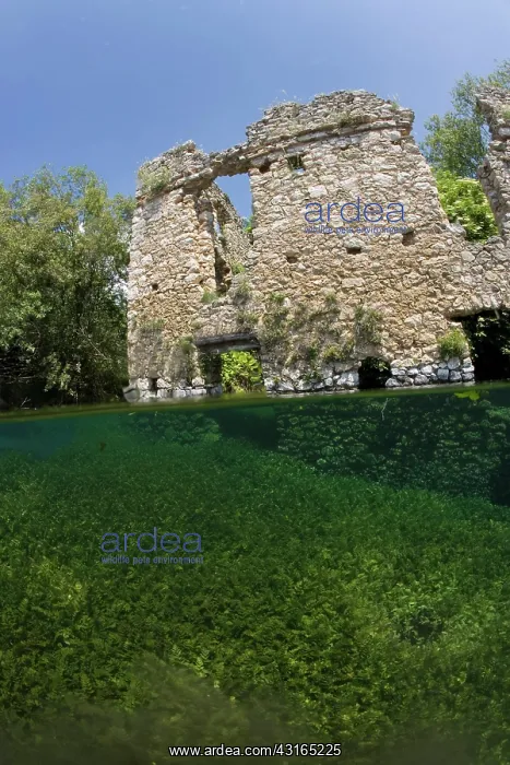  : Italy, Abruzzo, Capestrano, Capo d'Acqua lake the walls of t