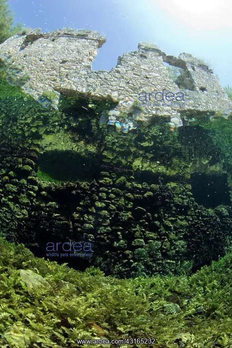 : Italy, Abruzzo, Capestrano, Capo d'Acqua lake the walls of t : Italy, Abruzzo, Capestrano, Capo d'Acqua lake the walls of t