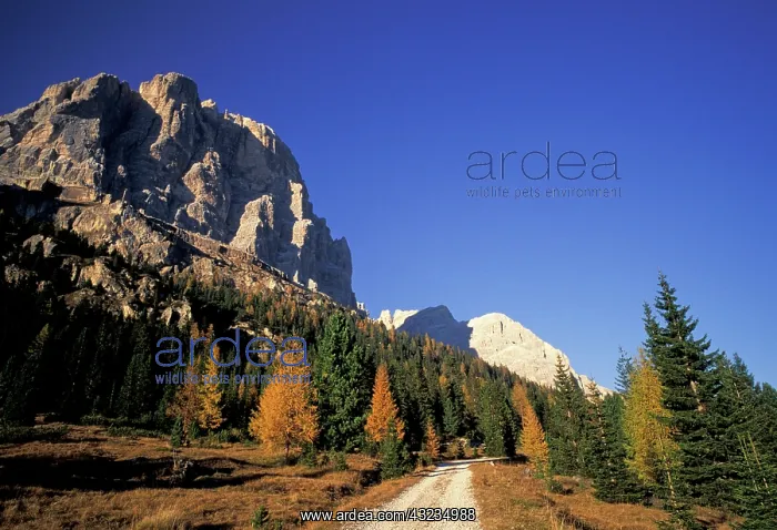 : Italy, Alps, Dolomites, Trentino-Alto-Adige : Italy, Alps, Dolomites, Trentino-Alto-Adige