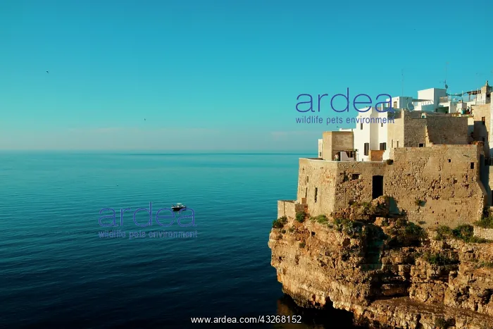 : Italy, Apulia, Polignano a Mare. Old village : Italy, Apulia, Polignano a Mare. Old village